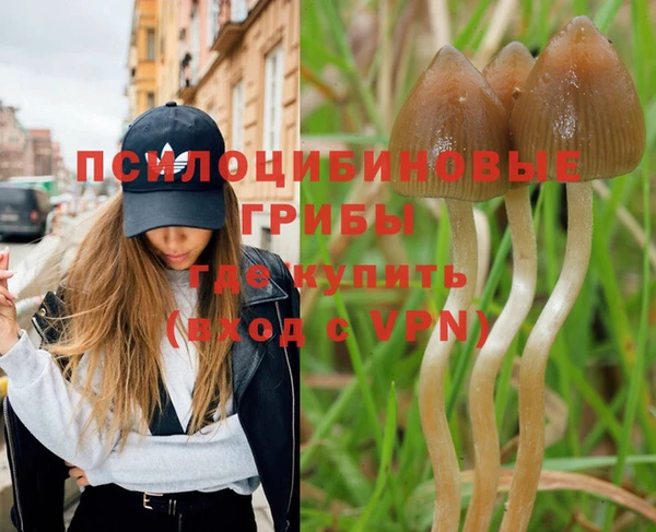 мдма Вяземский