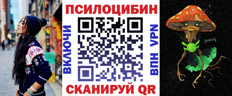 Псилоцибиновые грибы Cubensis  Петрозаводск 